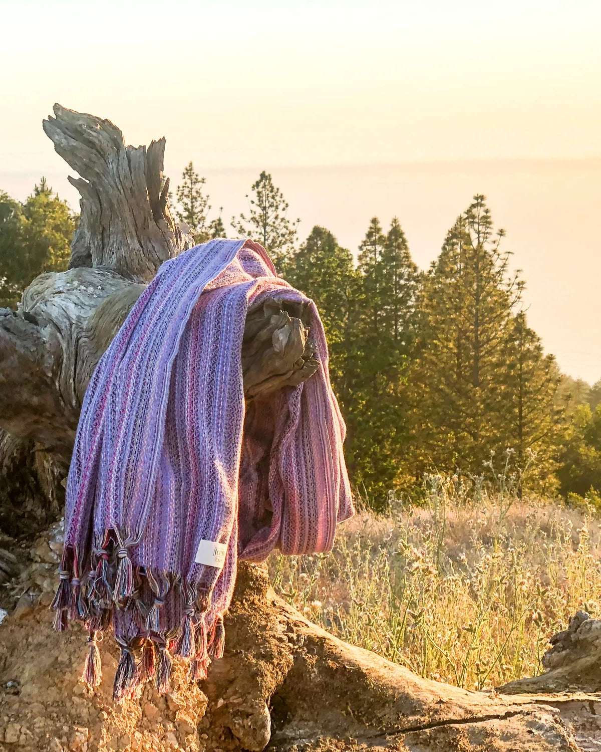 The Lilac Labyrinth
