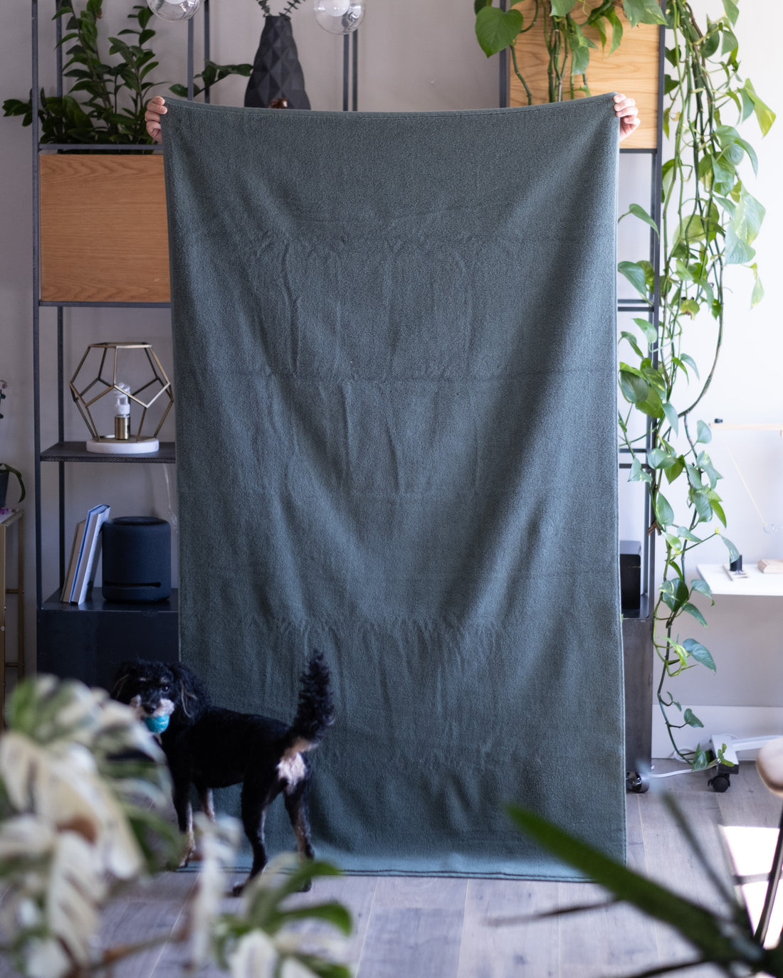 The Luxe Hand Towels in Jade