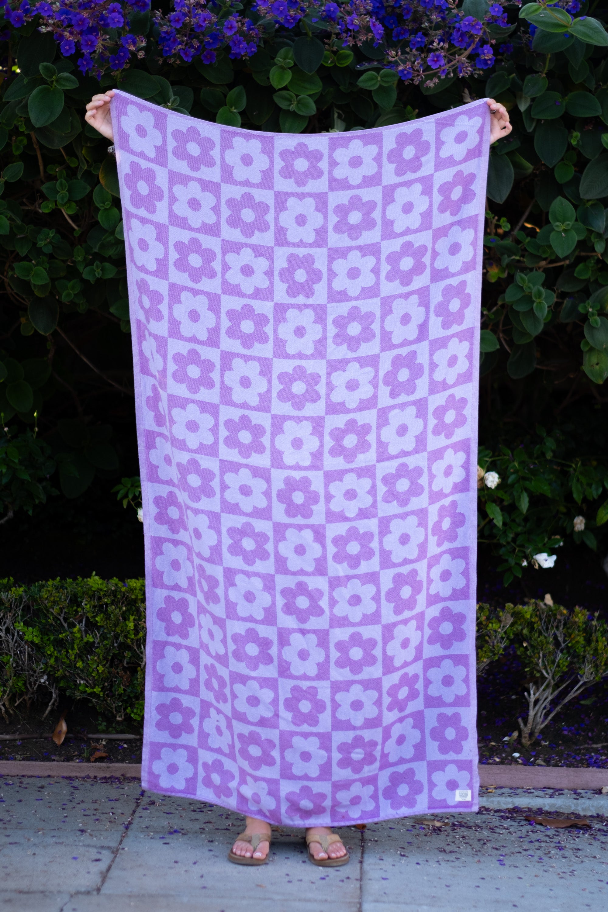 The Purple Bloom